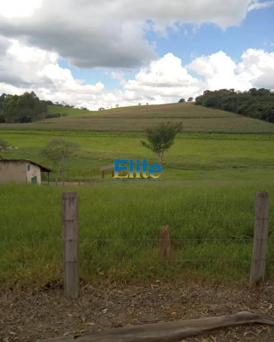 Farm for sale of 719 acres in Socorro, SP, Brazil