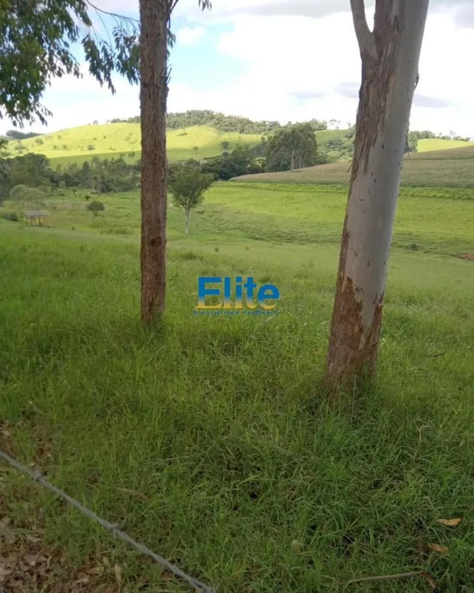 Farm for sale of 719 acres in Socorro, SP, Brazil