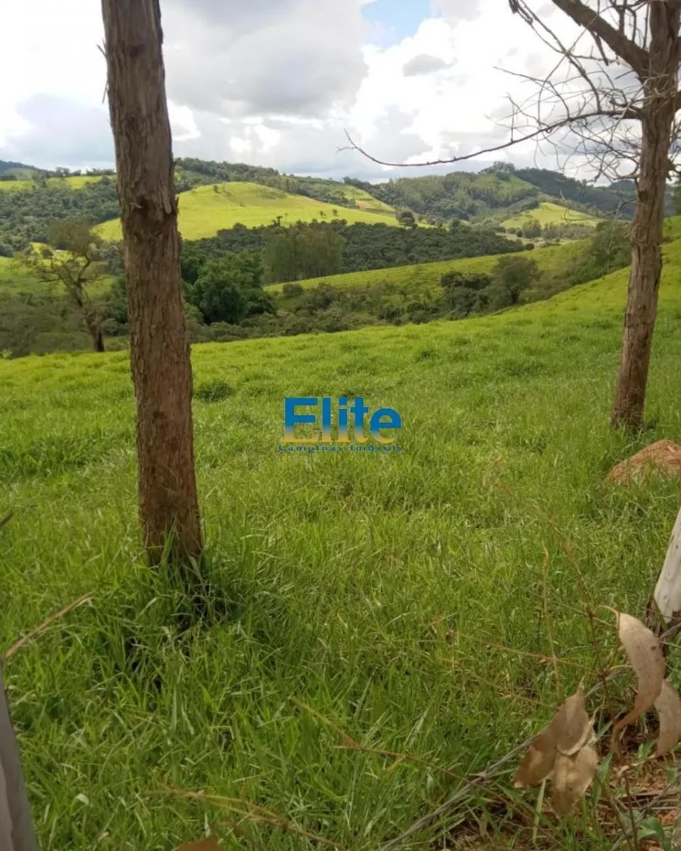 Farm for sale of 719 acres in Socorro, SP, Brazil