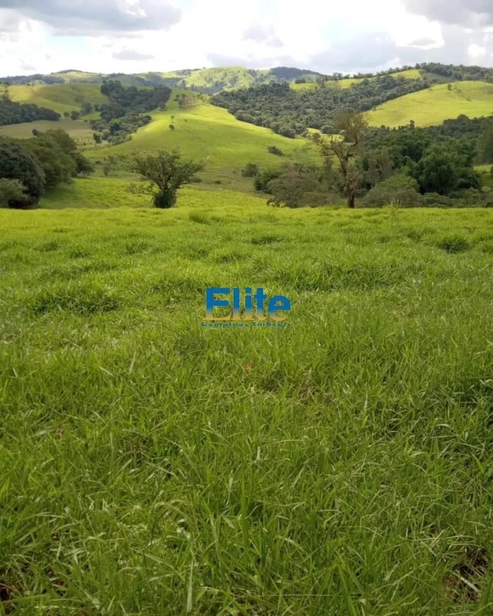 Farm for sale of 719 acres in Socorro, SP, Brazil
