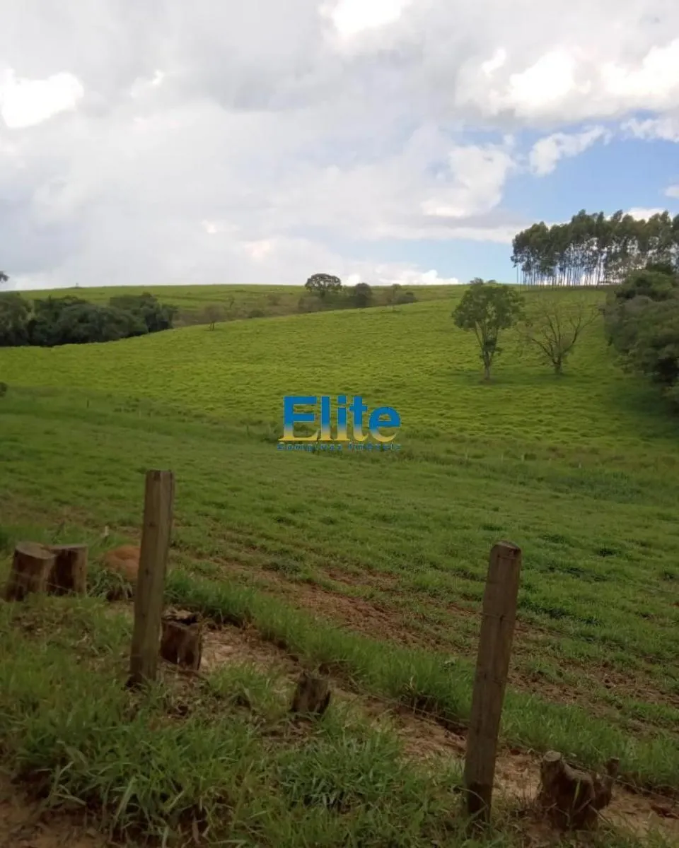 Farm for sale of 719 acres in Socorro, SP, Brazil