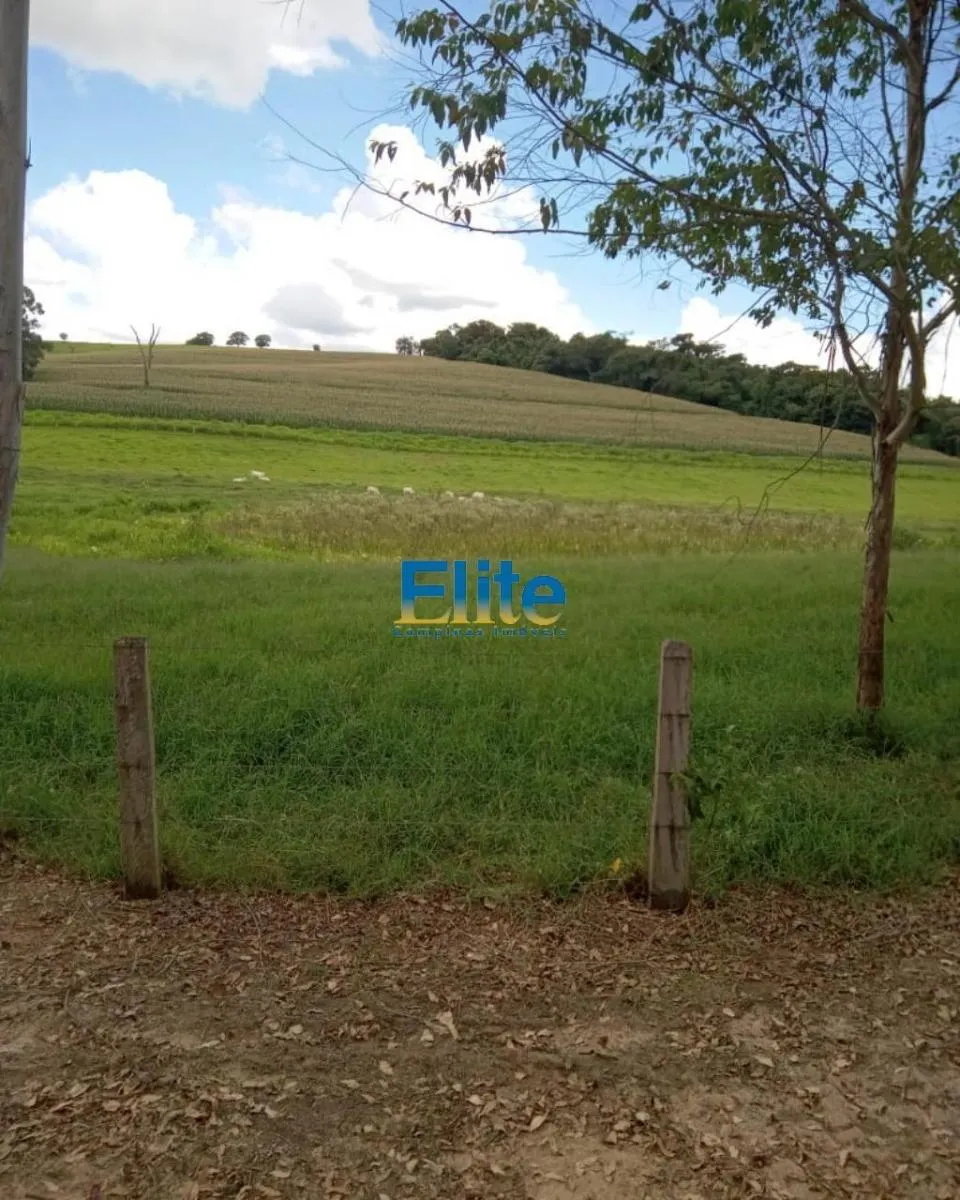 Farm for sale of 719 acres in Socorro, SP, Brazil