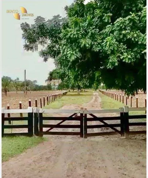 Farm for sale of 1,639 acres in Cáceres, MT, Brazil