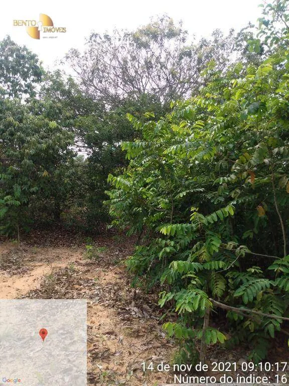 Fazenda à venda de 1.035 ha em Primavera do Leste, MT, Brasil