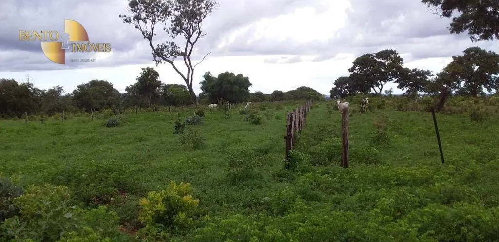 Fazenda à venda de 1.035 ha em Primavera do Leste, MT, Brasil