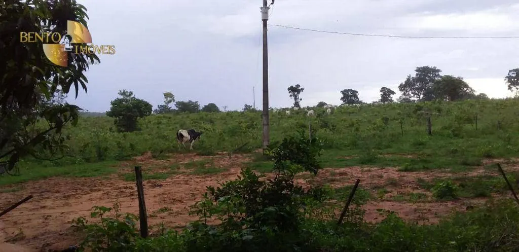 Fazenda à venda de 1.035 ha em Primavera do Leste, MT, Brasil