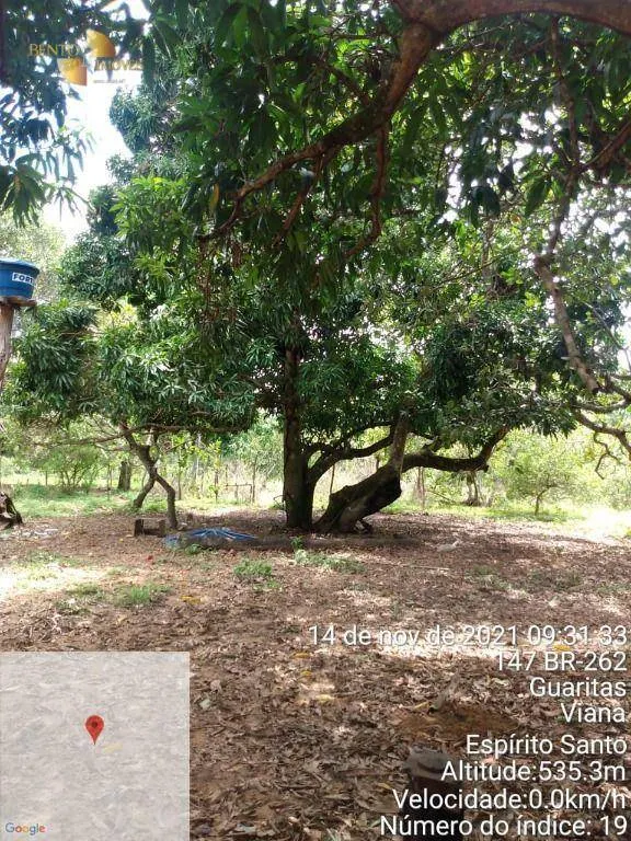 Fazenda à venda de 1.035 ha em Primavera do Leste, MT, Brasil