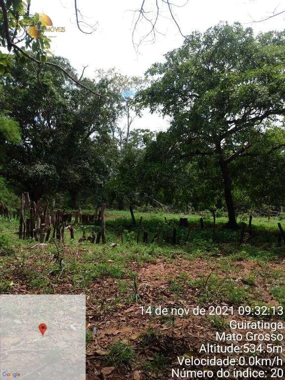 Fazenda à venda de 1.035 ha em Primavera do Leste, MT, Brasil