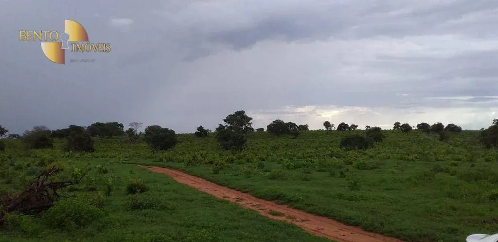 Fazenda à venda de 1.035 ha em Primavera do Leste, MT, Brasil
