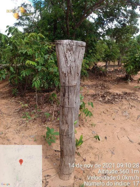 Fazenda à venda de 1.035 ha em Primavera do Leste, MT, Brasil