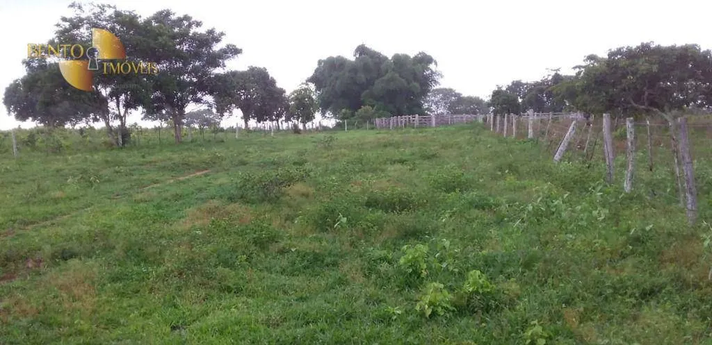 Fazenda à venda de 1.035 ha em Primavera do Leste, MT, Brasil