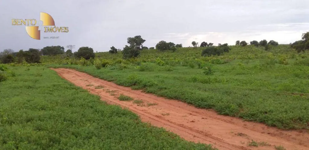 Fazenda à venda de 1.035 ha em Primavera do Leste, MT, Brasil