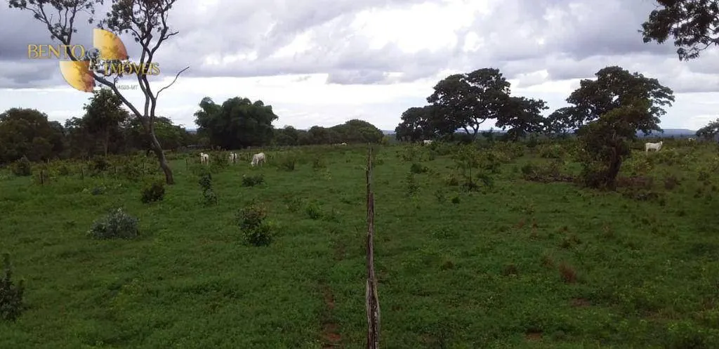 Fazenda à venda de 1.035 ha em Primavera do Leste, MT, Brasil