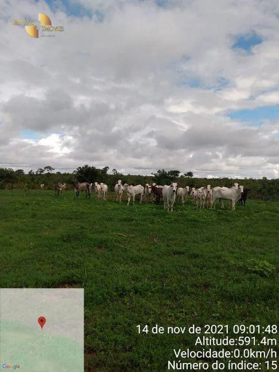 Fazenda à venda de 1.035 ha em Primavera do Leste, MT, Brasil