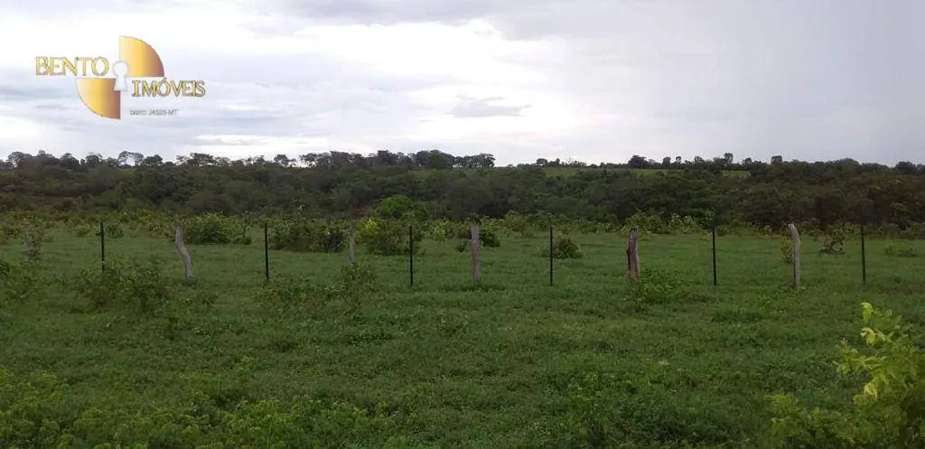 Fazenda à venda de 1.035 ha em Primavera do Leste, MT, Brasil