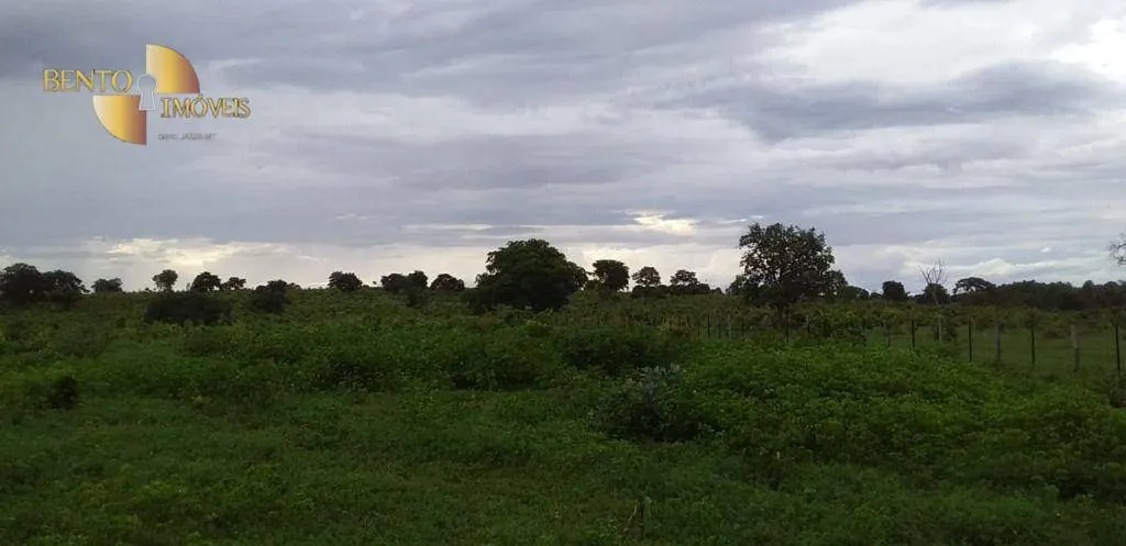 Fazenda à venda de 1.035 ha em Primavera do Leste, MT, Brasil