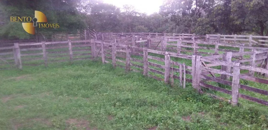 Fazenda à venda de 1.035 ha em Primavera do Leste, MT, Brasil