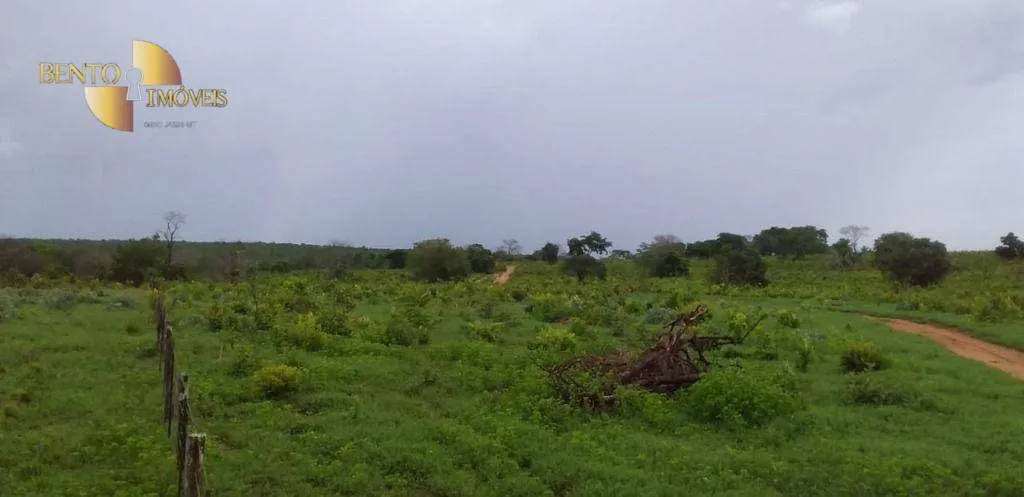 Fazenda à venda de 1.035 ha em Primavera do Leste, MT, Brasil