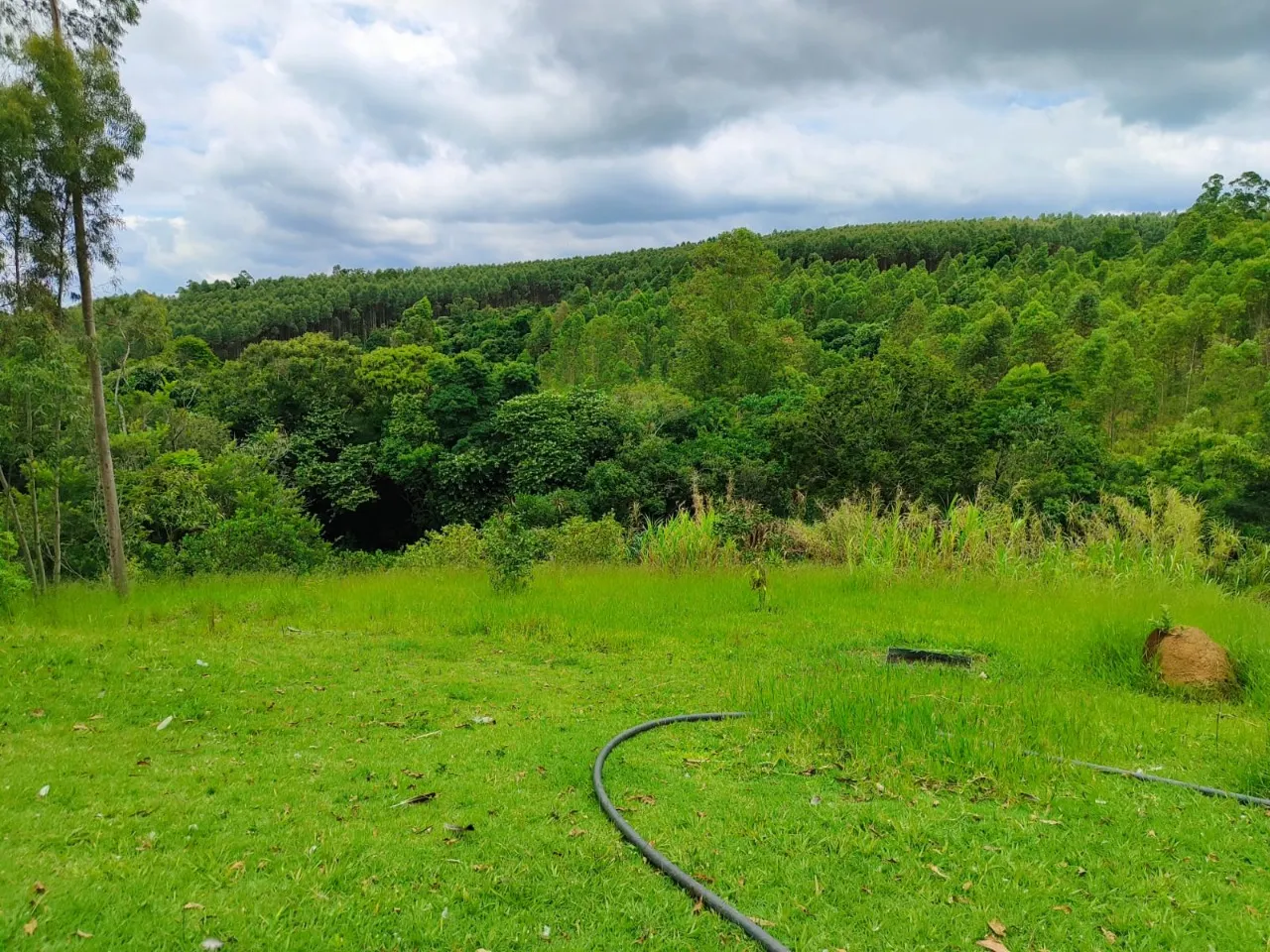 Chácara à venda de 4 ha em Itapetininga, SP, Brasil