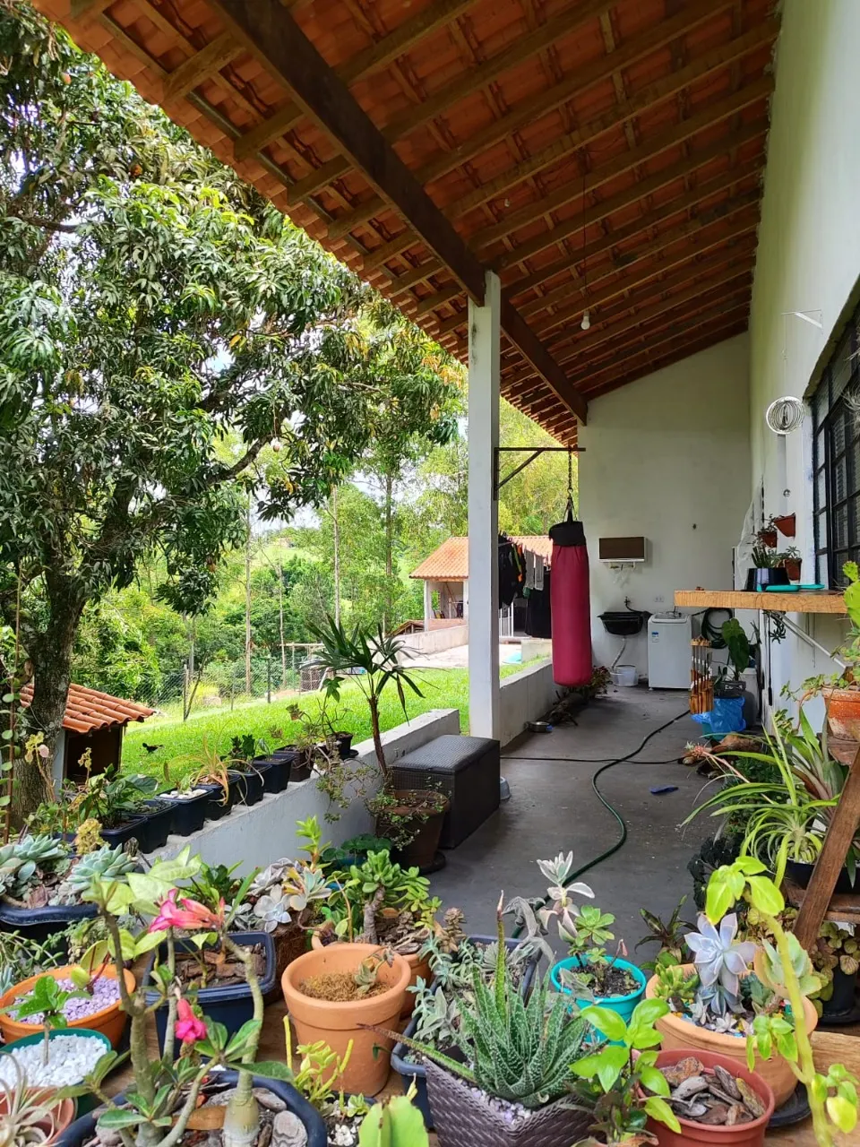 Chácara à venda de 4 ha em Itapetininga, SP, Brasil