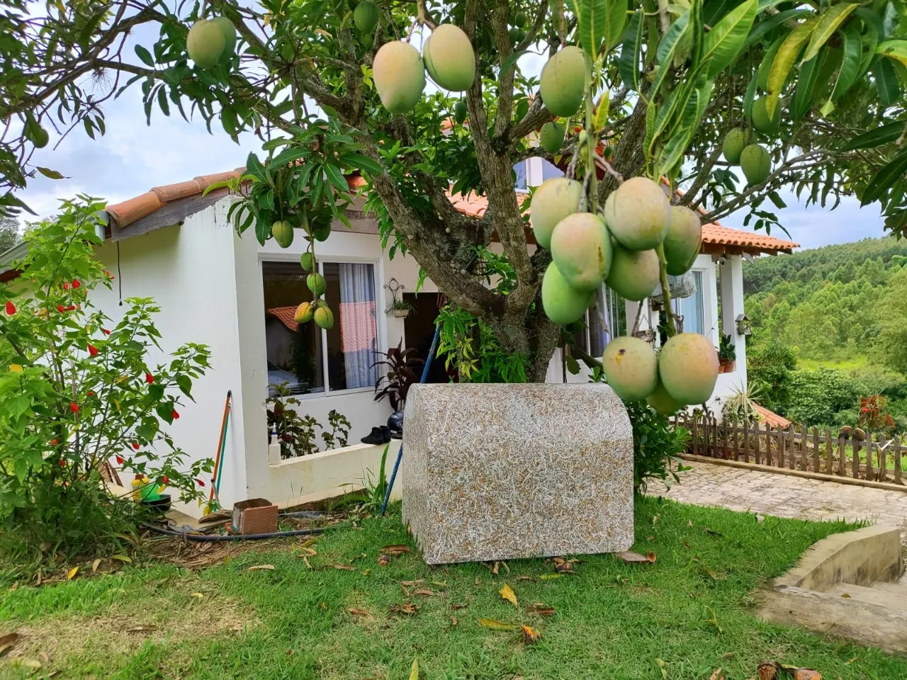 Chácara à venda de 4 ha em Itapetininga, SP, Brasil