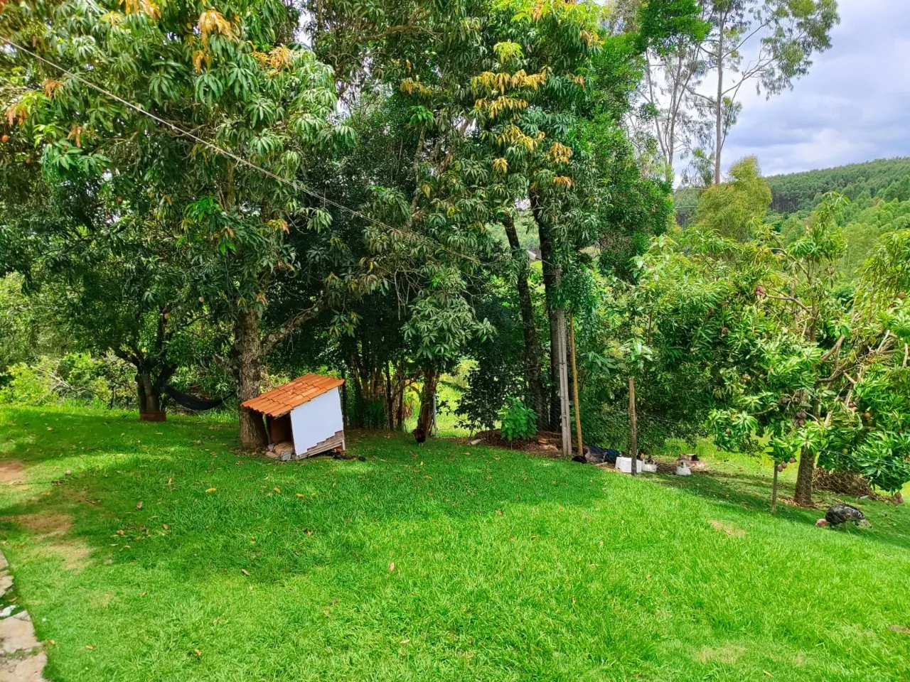 Chácara à venda de 4 ha em Itapetininga, SP, Brasil
