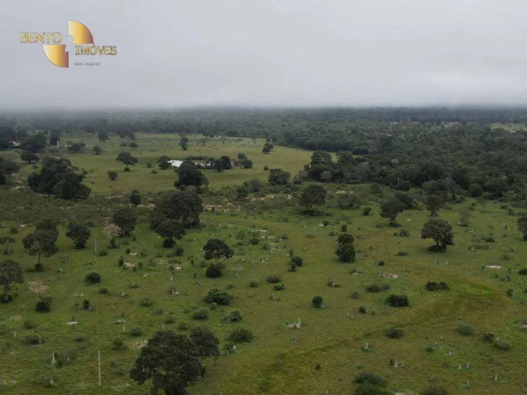 Fazenda à venda de 220 ha em São José do Rio Claro, MT, Brasil