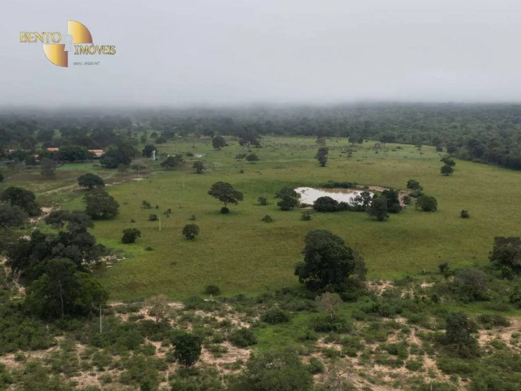 Fazenda à venda de 220 ha em São José do Rio Claro, MT, Brasil