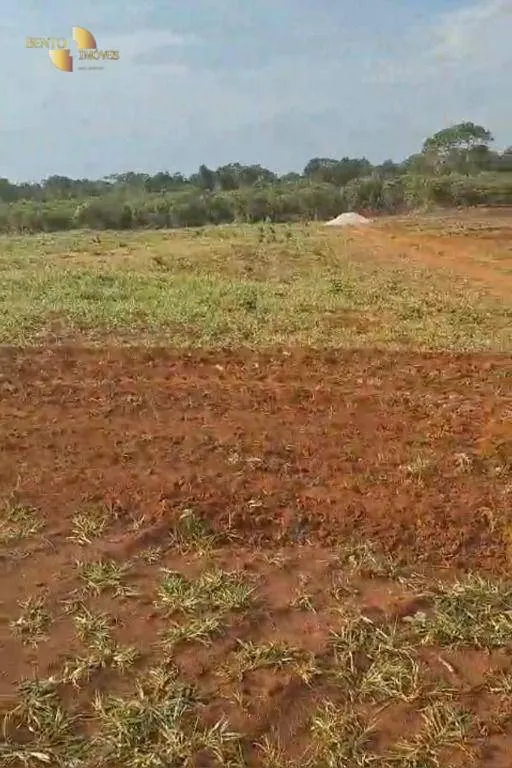 Fazenda à venda de 220 ha em São José do Rio Claro, MT, Brasil