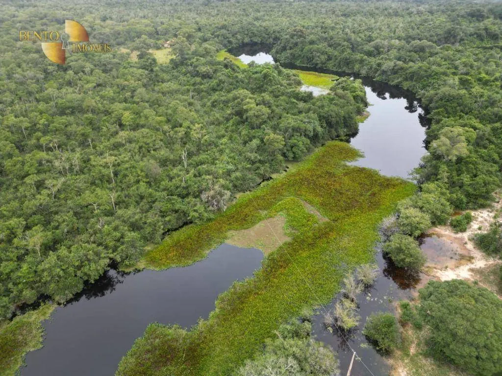 Fazenda à venda de 220 ha em São José do Rio Claro, MT, Brasil