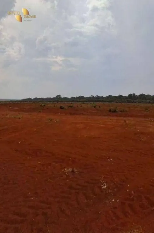 Fazenda à venda de 220 ha em São José do Rio Claro, MT, Brasil