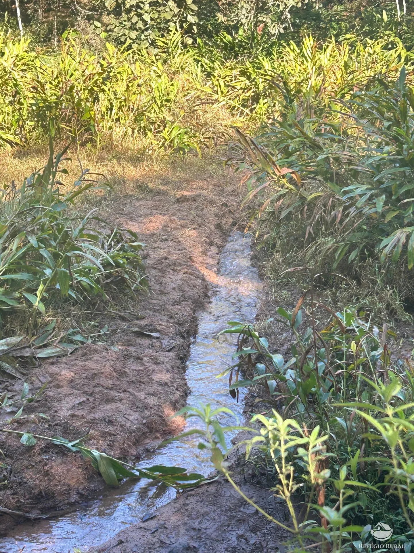 Plot for sale of 10 acres in Monteiro Lobato, SP, Brazil