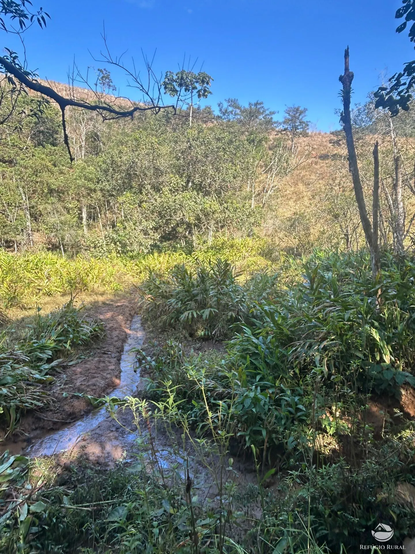Plot for sale of 10 acres in Monteiro Lobato, SP, Brazil