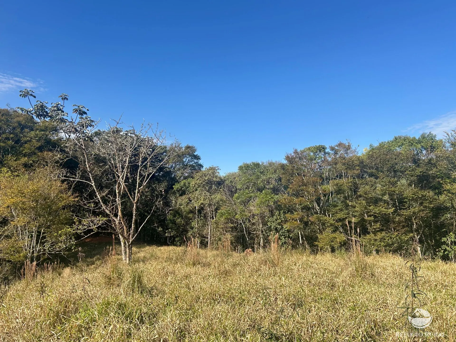 Plot for sale of 10 acres in Monteiro Lobato, SP, Brazil