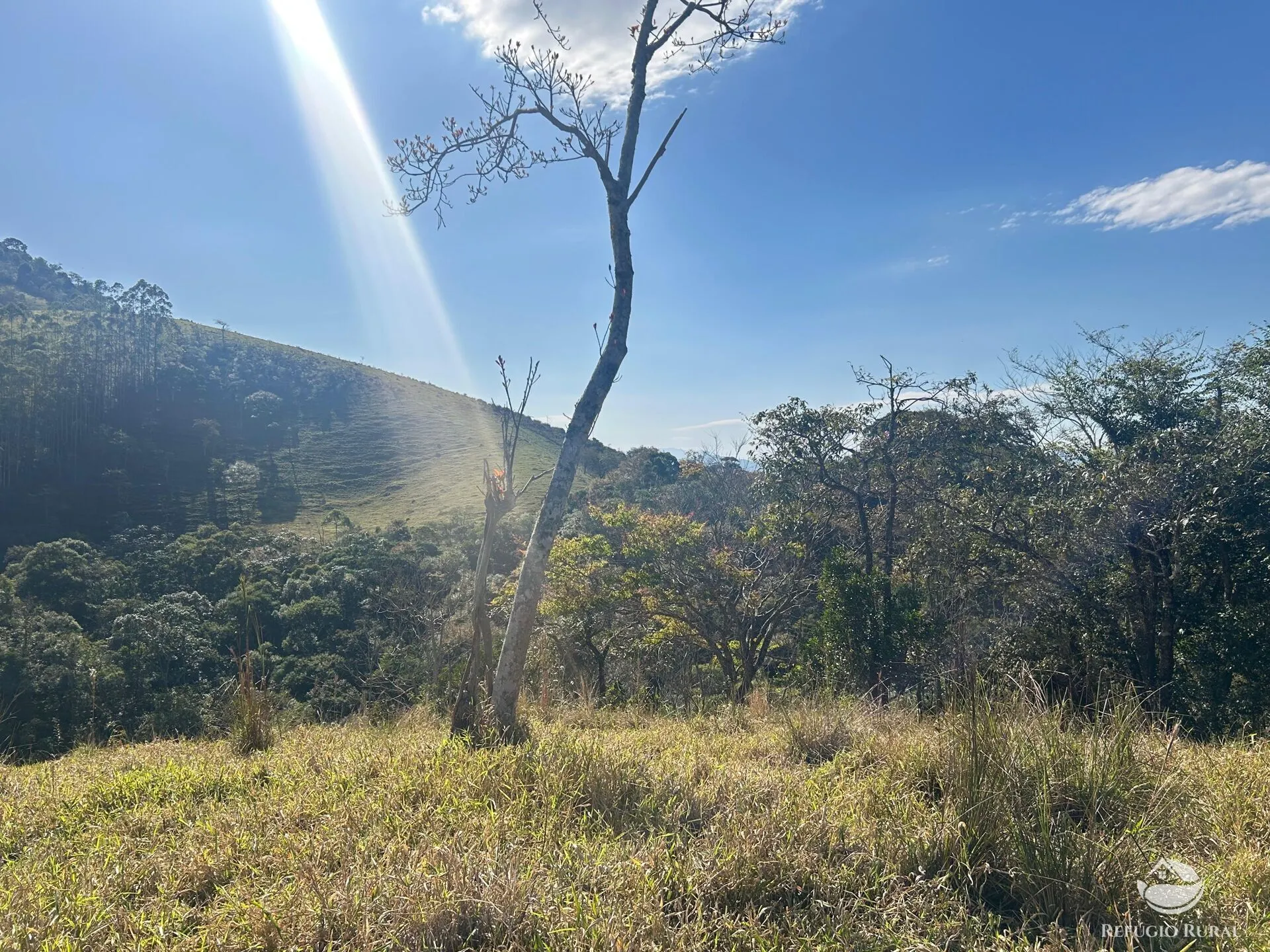 Plot for sale of 10 acres in Monteiro Lobato, SP, Brazil