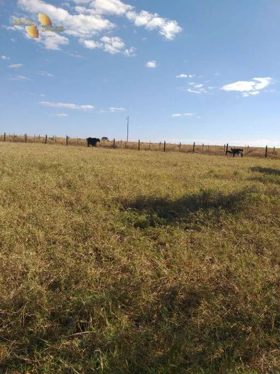 Fazenda à venda de 240 ha em Dom Aquino, MT, Brasil