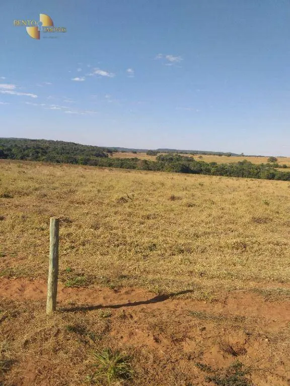 Fazenda à venda de 240 ha em Dom Aquino, MT, Brasil