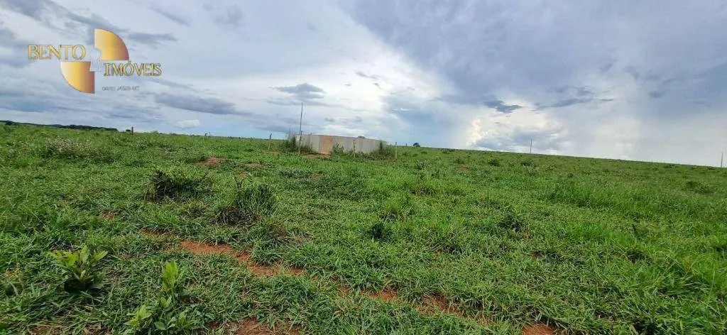 Fazenda à venda de 240 ha em Dom Aquino, MT, Brasil