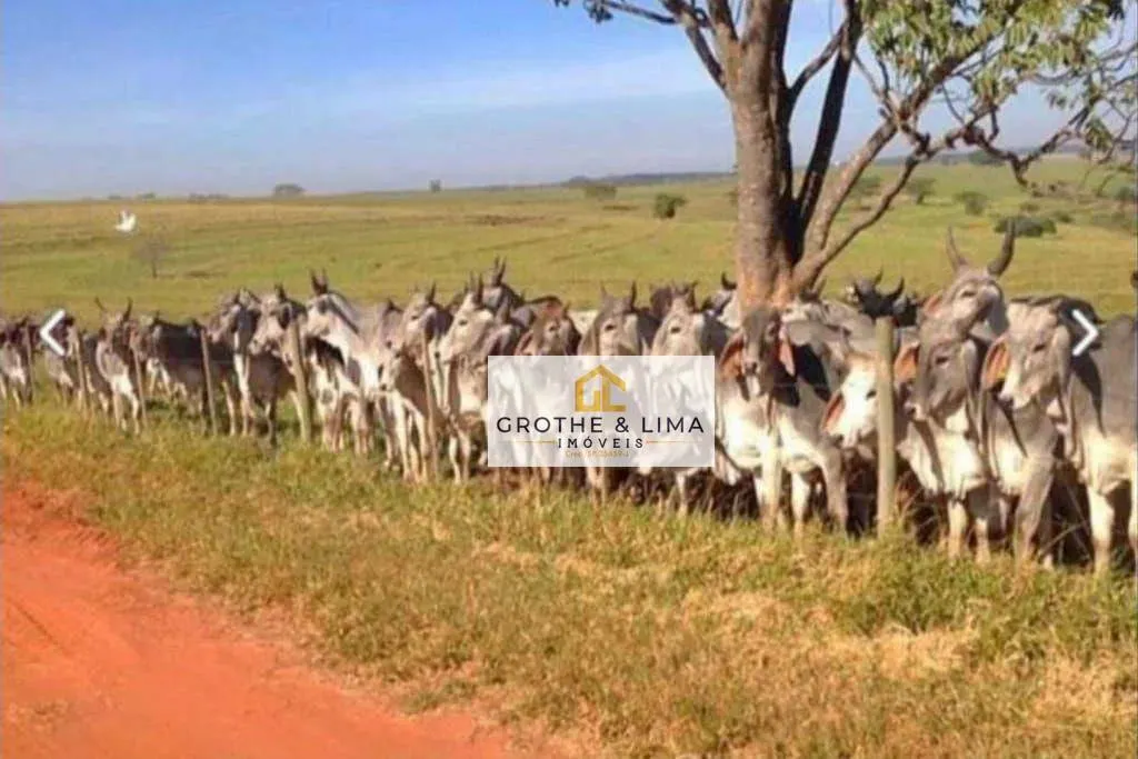 Fazenda à venda de 394 ha em Bauru, SP, Brasil