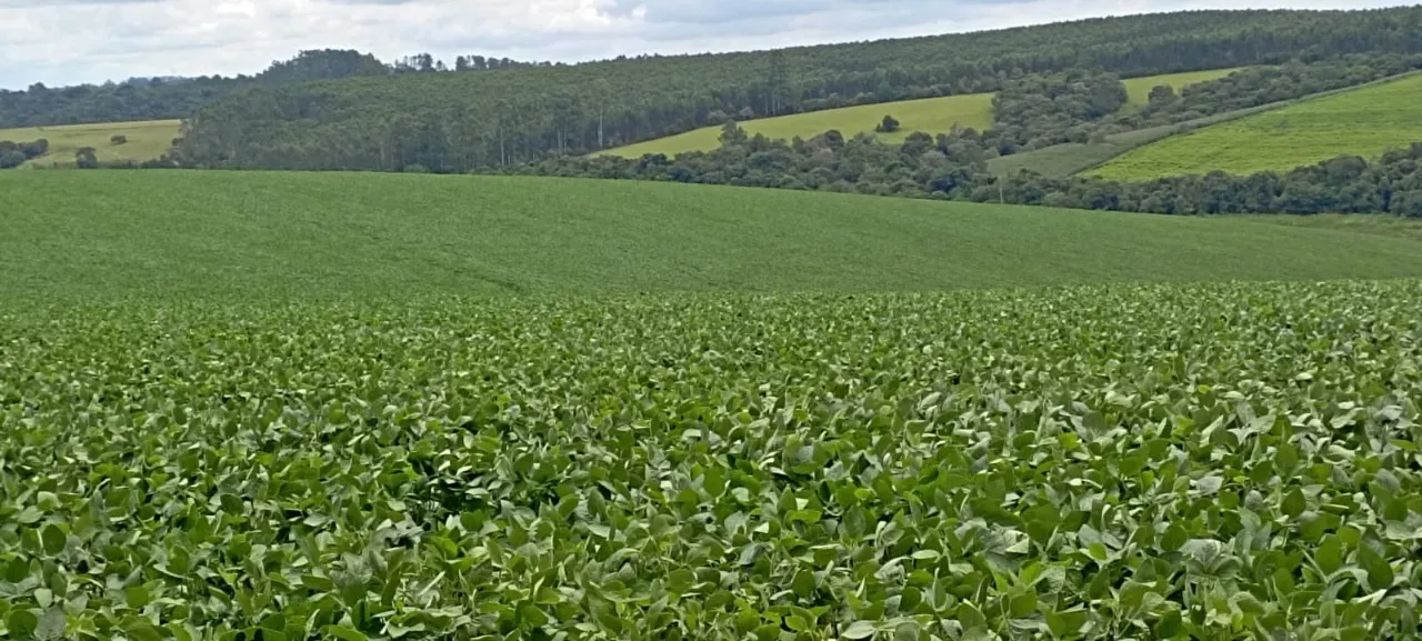 Fazenda à venda de 48 ha em Pilar do Sul, SP, Brasil