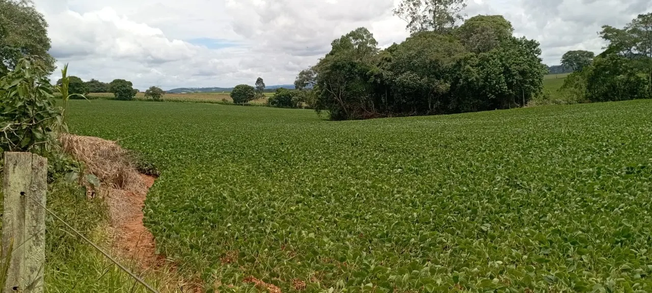 Fazenda à venda de 48 ha em Pilar do Sul, SP, Brasil