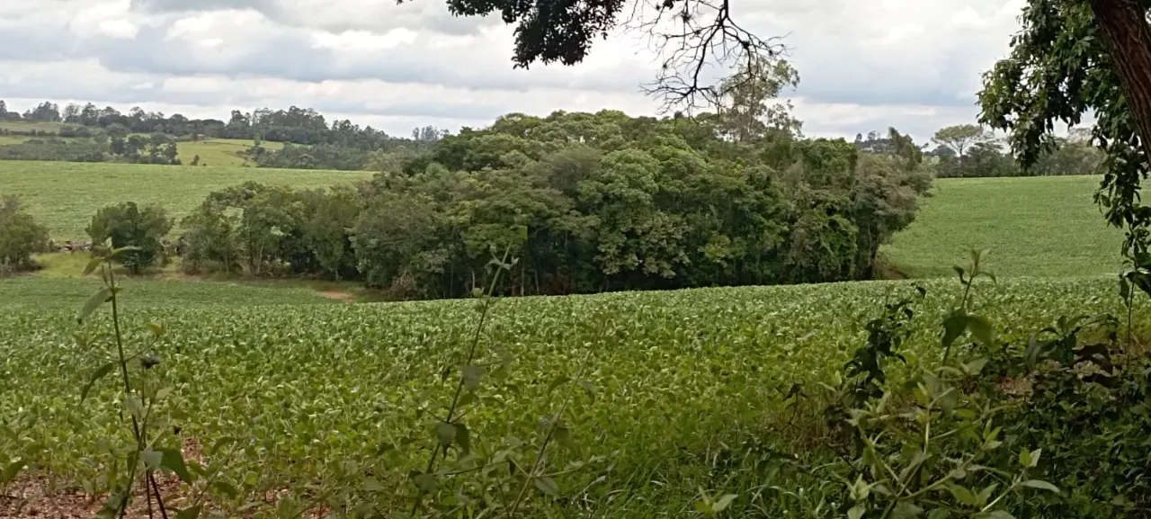 Fazenda à venda de 48 ha em Pilar do Sul, SP, Brasil