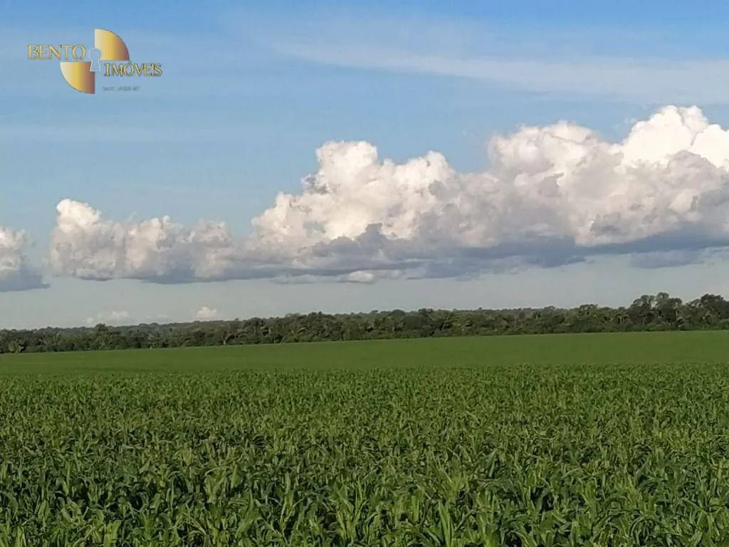 Fazenda à venda de 10.400 ha em Porto dos Gaúchos, MT, Brasil