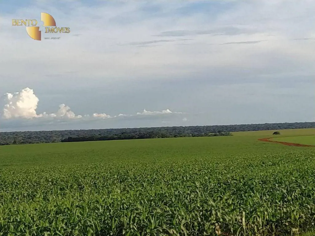 Fazenda à venda de 10.400 ha em Porto dos Gaúchos, MT, Brasil