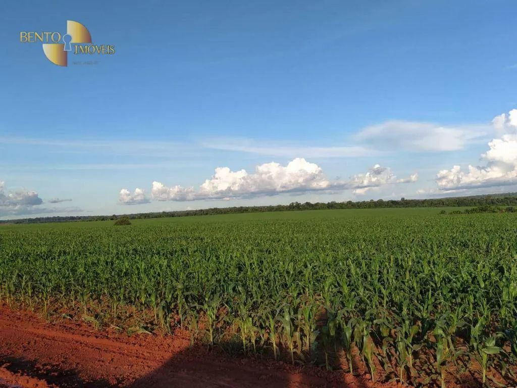 Fazenda à venda de 10.400 ha em Porto dos Gaúchos, MT, Brasil