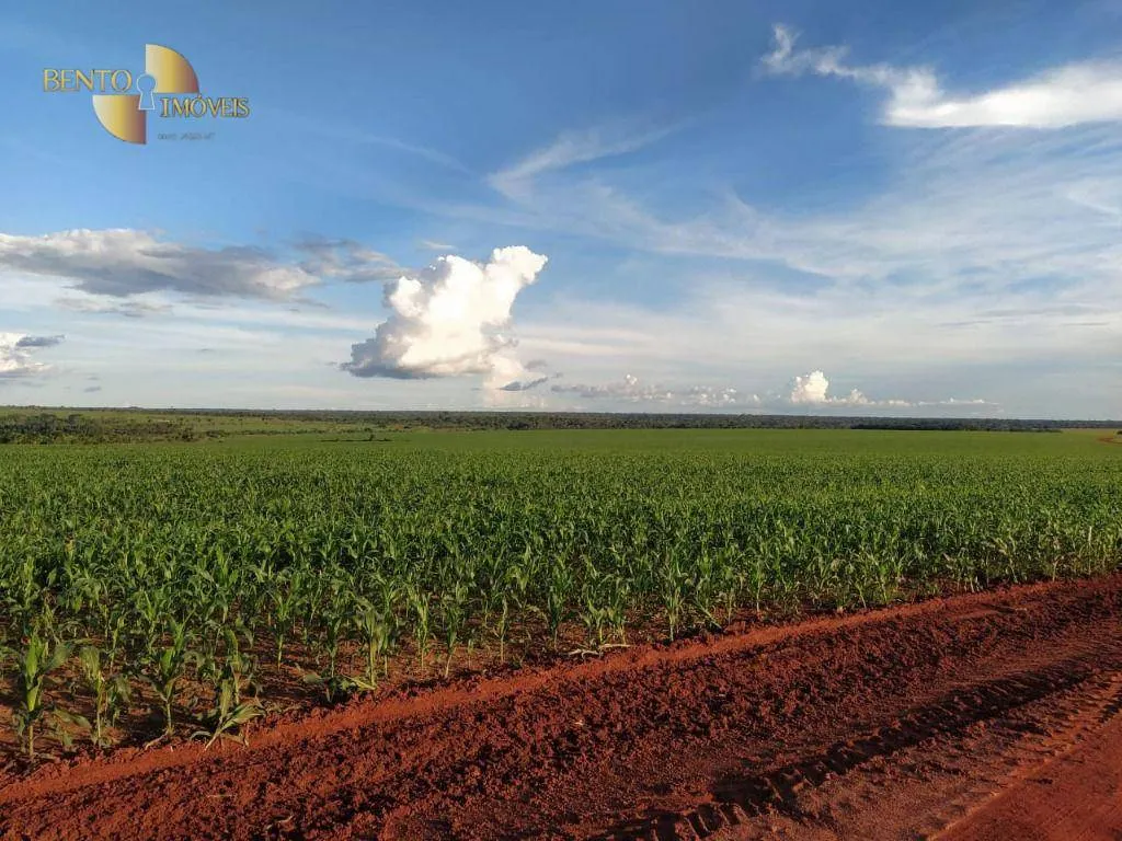Fazenda à venda de 10.400 ha em Porto dos Gaúchos, MT, Brasil
