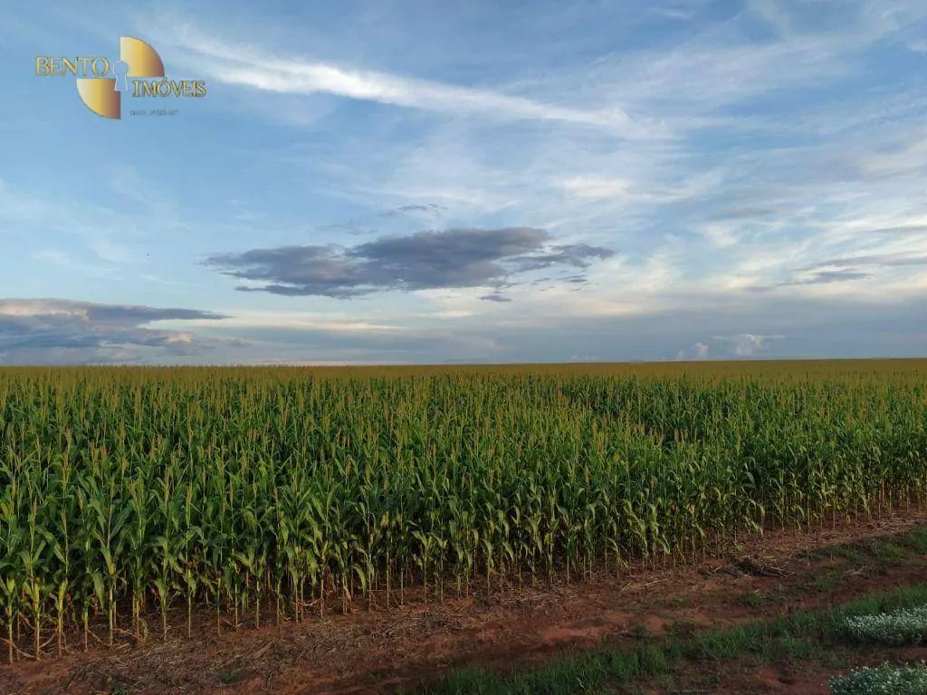 Fazenda à venda de 10.400 ha em Porto dos Gaúchos, MT, Brasil
