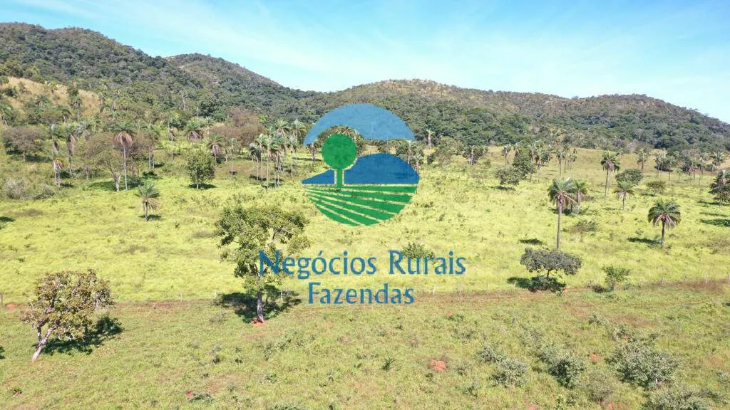 Fazenda à venda de 784 ha em Campinaçu, GO, Brasil