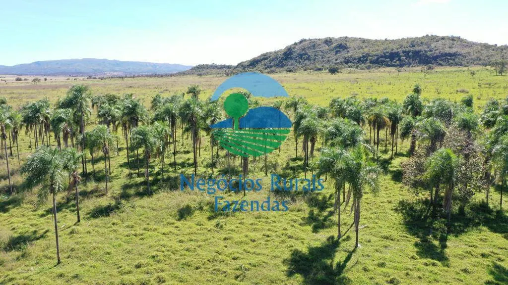 Fazenda à venda de 784 ha em Campinaçu, GO, Brasil