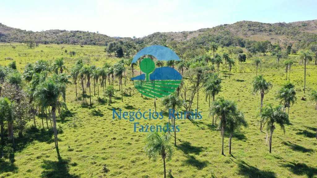 Fazenda à venda de 784 ha em Campinaçu, GO, Brasil